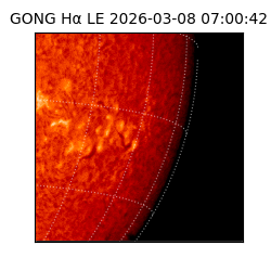 gong - 2026-03-08T07:00:42