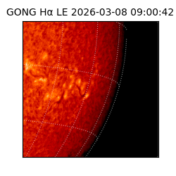 gong - 2026-03-08T09:00:42