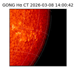 gong - 2026-03-08T14:00:42