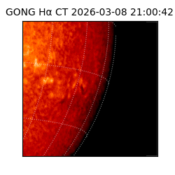 gong - 2026-03-08T21:00:42