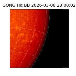 gong - 2026-03-08T23:00:02