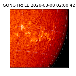 gong - 2026-03-08T02:00:42