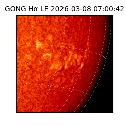 gong - 2026-03-08T07:00:42