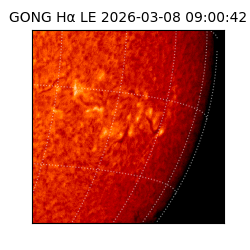 gong - 2026-03-08T09:00:42