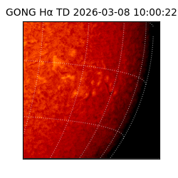 gong - 2026-03-08T10:00:22