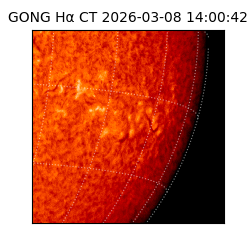 gong - 2026-03-08T14:00:42