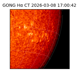 gong - 2026-03-08T17:00:42