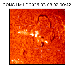 gong - 2026-03-08T02:00:42