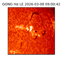 gong - 2026-03-08T09:00:42