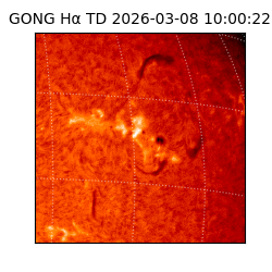 gong - 2026-03-08T10:00:22