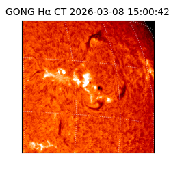 gong - 2026-03-08T15:00:42