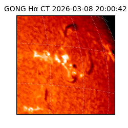 gong - 2026-03-08T20:00:42