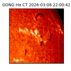 gong - 2026-03-08T22:00:42