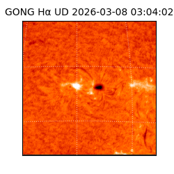 gong - 2026-03-08T03:04:02