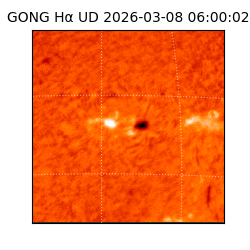 gong - 2026-03-08T06:00:02