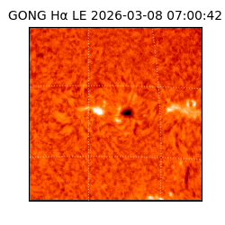 gong - 2026-03-08T07:00:42