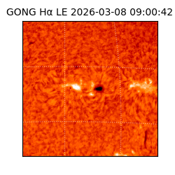 gong - 2026-03-08T09:00:42