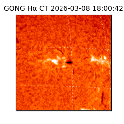 gong - 2026-03-08T18:00:42
