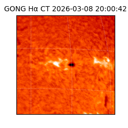 gong - 2026-03-08T20:00:42