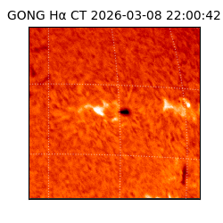 gong - 2026-03-08T22:00:42