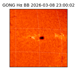 gong - 2026-03-08T23:00:02