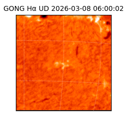 gong - 2026-03-08T06:00:02