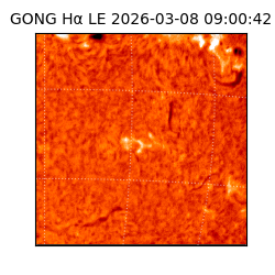 gong - 2026-03-08T09:00:42