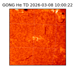 gong - 2026-03-08T10:00:22