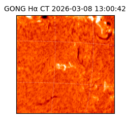 gong - 2026-03-08T13:00:42