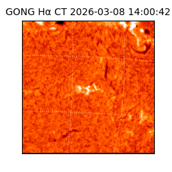 gong - 2026-03-08T14:00:42