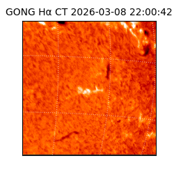 gong - 2026-03-08T22:00:42