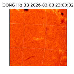 gong - 2026-03-08T23:00:02