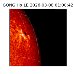 gong - 2026-03-08T01:00:42