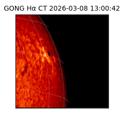 gong - 2026-03-08T13:00:42