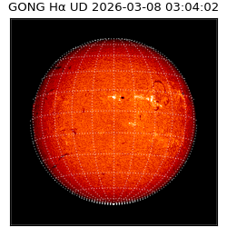 gong - 2026-03-08T03:04:02