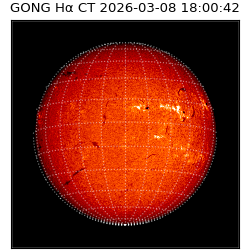 gong - 2026-03-08T18:00:42