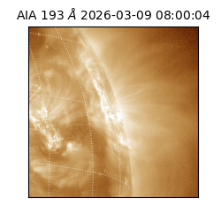 saia - 2026-03-09T08:00:04.840000