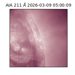 saia - 2026-03-09T05:00:09.620000