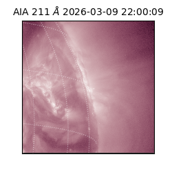 saia - 2026-03-09T22:00:09.620000
