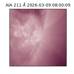 saia - 2026-03-09T08:00:09.620000