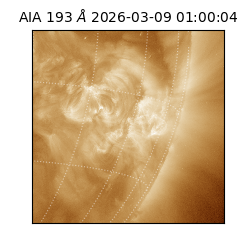 saia - 2026-03-09T01:00:04.840000