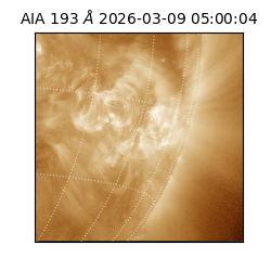 saia - 2026-03-09T05:00:04.840000