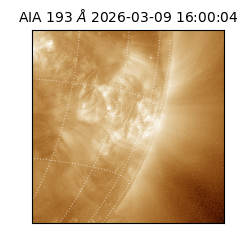 saia - 2026-03-09T16:00:04.840000