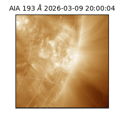 saia - 2026-03-09T20:00:04.840000