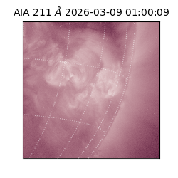 saia - 2026-03-09T01:00:09.620000