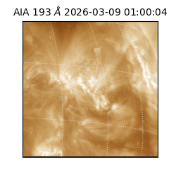 saia - 2026-03-09T01:00:04.840000