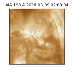 saia - 2026-03-09T02:00:04.840000