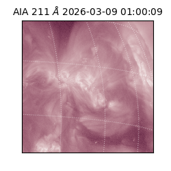 saia - 2026-03-09T01:00:09.620000