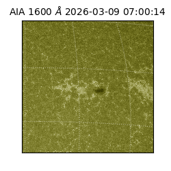 saia - 2026-03-09T07:00:14.120000