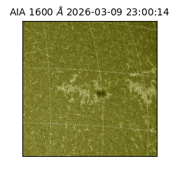 saia - 2026-03-09T23:00:14.120000